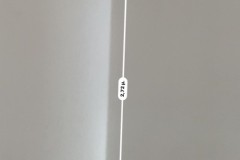 186553507_519466956065788_565132397361326452_n